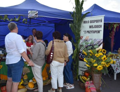 Dożynki Gminne 2025 w Wojsławicach